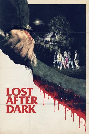 Постер: Lost After Dark