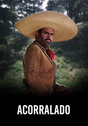 Постер: Acorralado