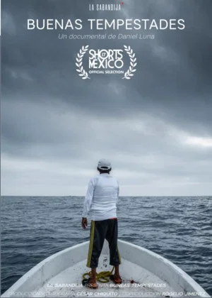 Постер: Good Storms