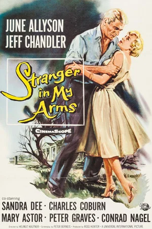 Постер: A Stranger in My Arms