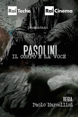Постер: Pasolini - Il corpo e la voce