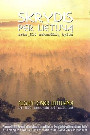 Постер: Flight Over Lithuania or 510 Seconds of Silence