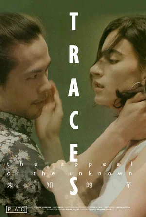 Постер: Traces