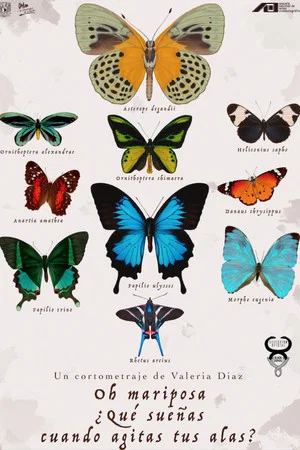 Постер: Oh Butterfly, What Do You Dream of When You Flap Your Wings?