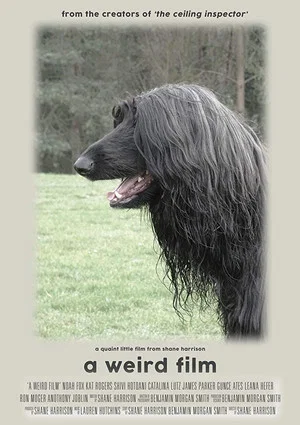 Постер: A Weird Film
