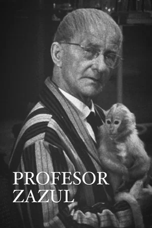 Постер: Profesor Zazul