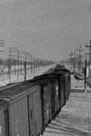 Постер: Train 406