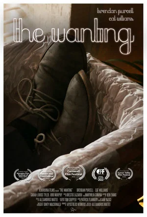 Постер: The Wanting