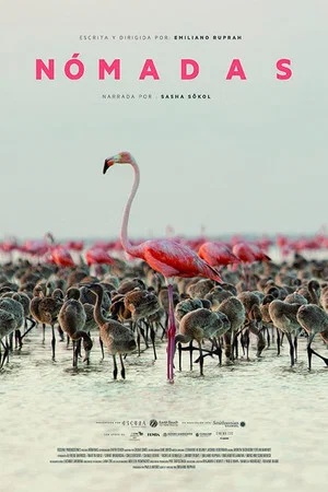 Постер: Nomads
