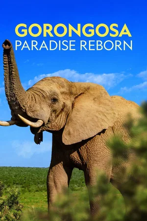 Постер: Gorongosa: Paradise Reborn