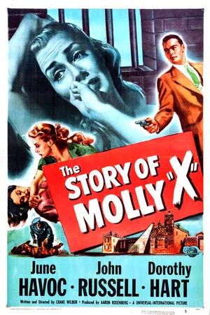 Постер: The Story of Molly X
