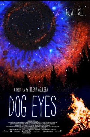 Постер: Dog Eyes