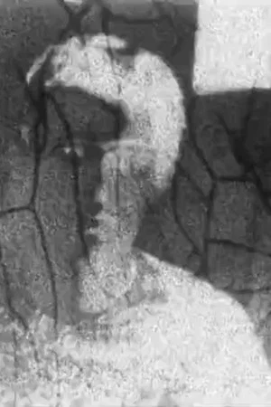 Постер: Autoportrait refilmé