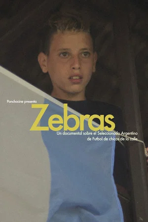 Постер: Zebras