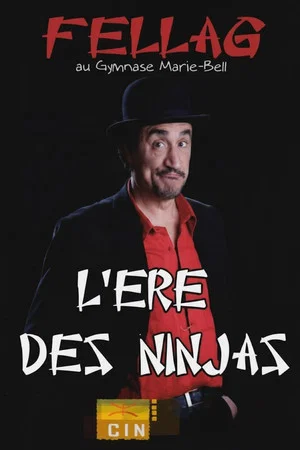Постер: L'ère des Ninjas