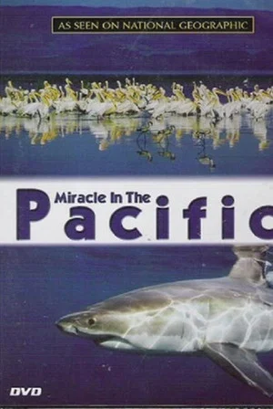 Постер: Miracle in the Pacific