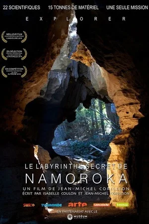 Постер: Le Labyrinthe secret de Namoroka