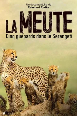 Постер: Die fünf Geparde - Gemeinsam durch die Serengeti