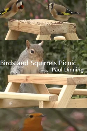 Постер: Birds and Squirrels Picnic