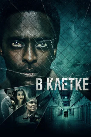 Постер: В клетке