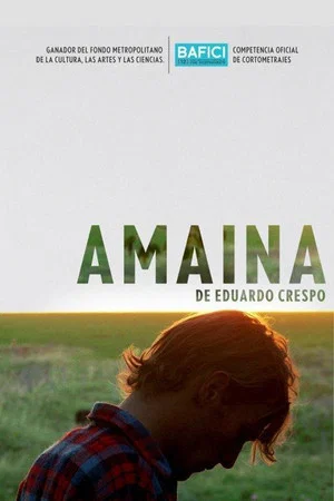 Постер: Amaina