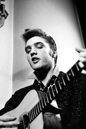 Постер: Elvis Rise And Fall Of The King