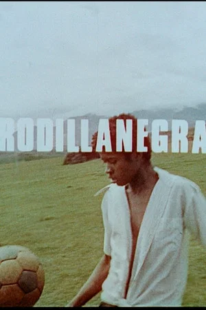 Постер: Rodilla negra