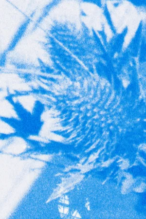 Постер: Pale, Blue