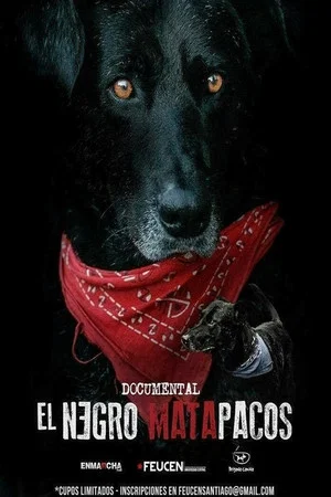 Постер: Matapaco