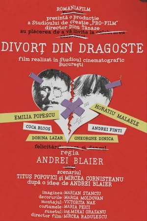 Постер: Divorț... din dragoste