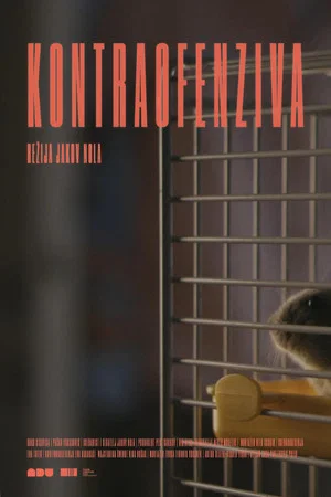 Постер: Counter-offensive