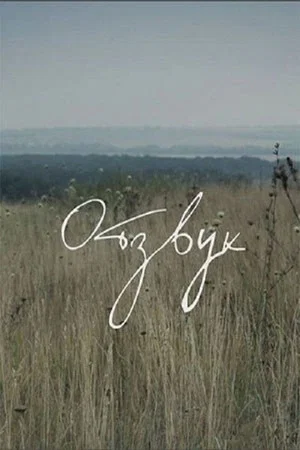 Постер: Отзвук