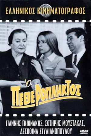 Постер: The Father-in-Law