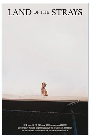Постер: Land of the Strays