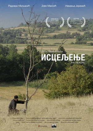 Постер: The Healing