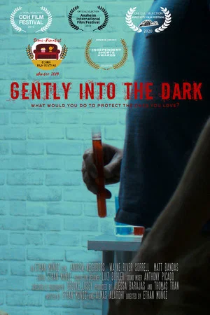 Постер: Gently Into the Dark