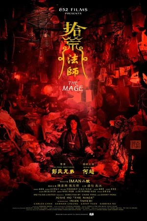 Постер: The Mage