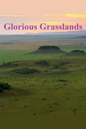 Постер: Glorious Grasslands