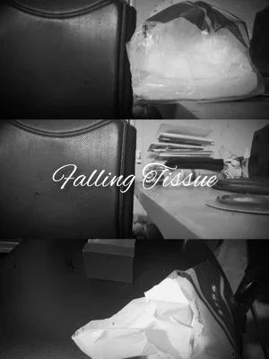 Постер: Falling Tissue