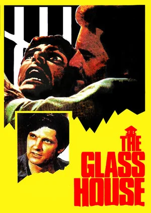 Постер: The Glass House