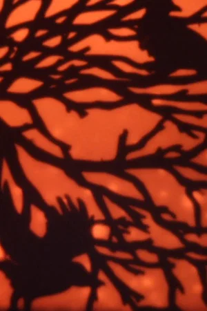 Постер: Fire Fly EYE