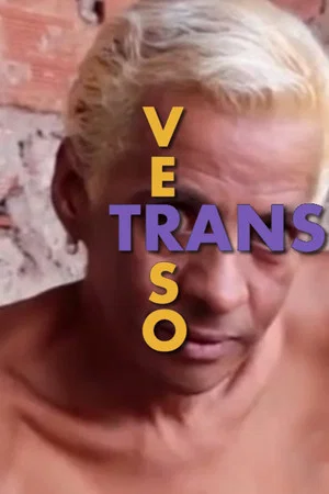 Постер: TransVerso