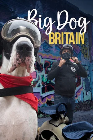Постер: Big Dog Britain