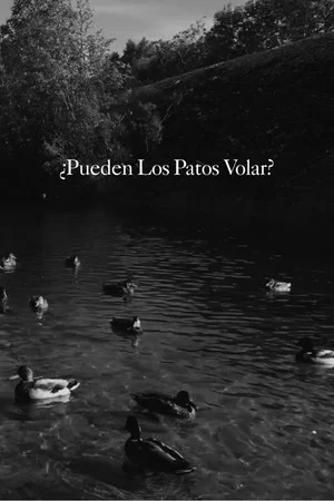 Постер: Can Ducks Fly?