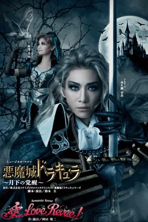 Постер: Castlevania: Awakening in the Moonlight