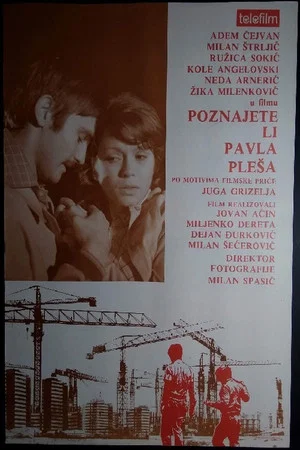 Постер: Do You Know Pavle Pleso?