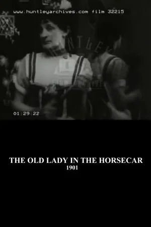 Постер: The Old Maid in the Horsecar