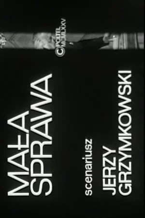 Постер: Mała sprawa