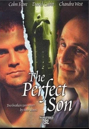 Постер: The Perfect Son
