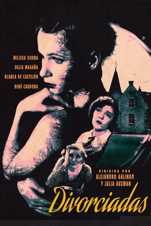 Постер: Divorciadas